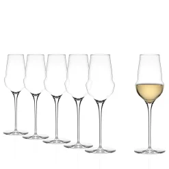 Stölzle Lausitz Tilbud|Glas-Cocoon champagneglas 340 ml 6 stk