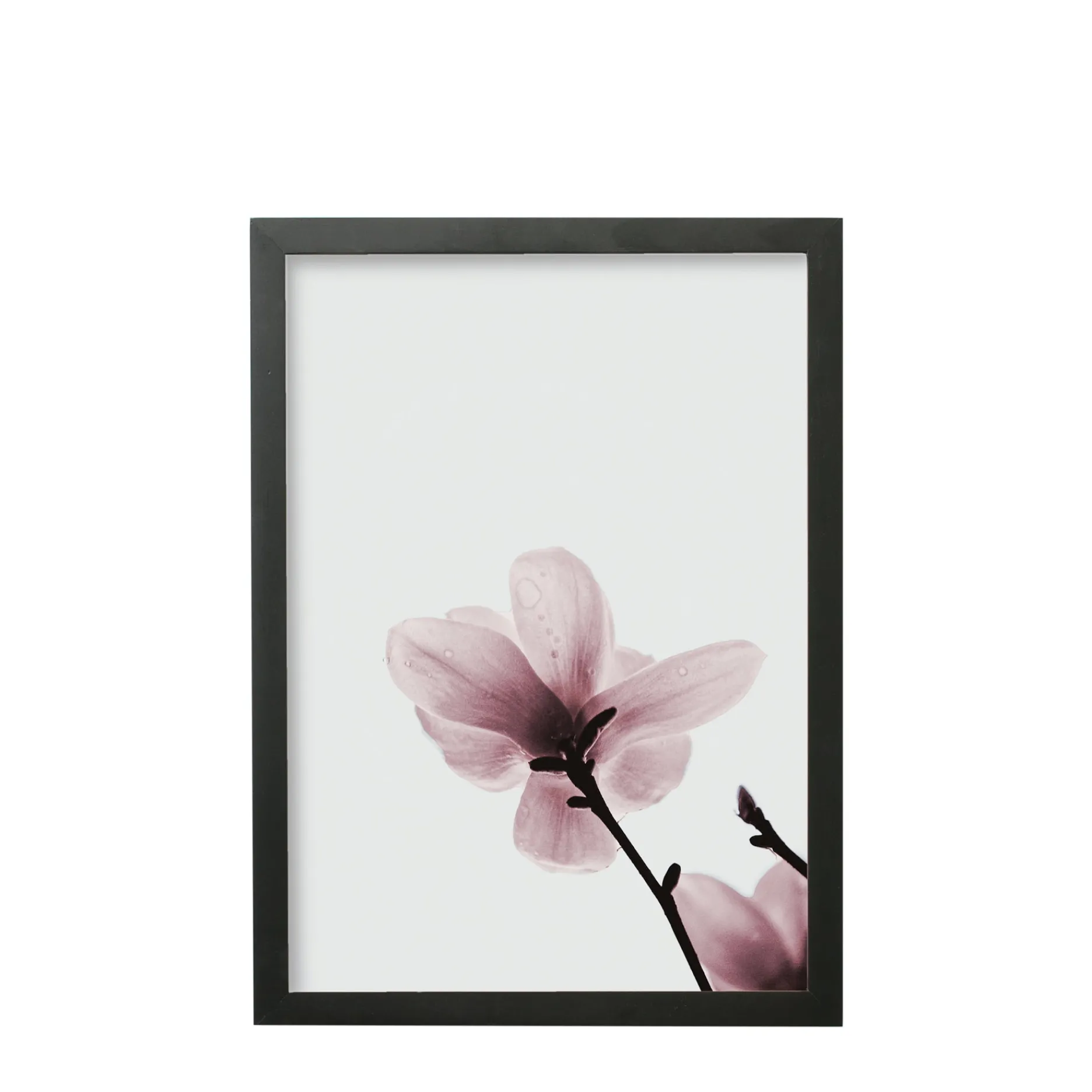 Sinnerup Plakater Og Billeder|Billedrammer-Foto billedramme i fyrretræ 30x42 cm