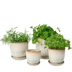 Sinnerup Urtepotter-Pio II Ø17 cm underskål