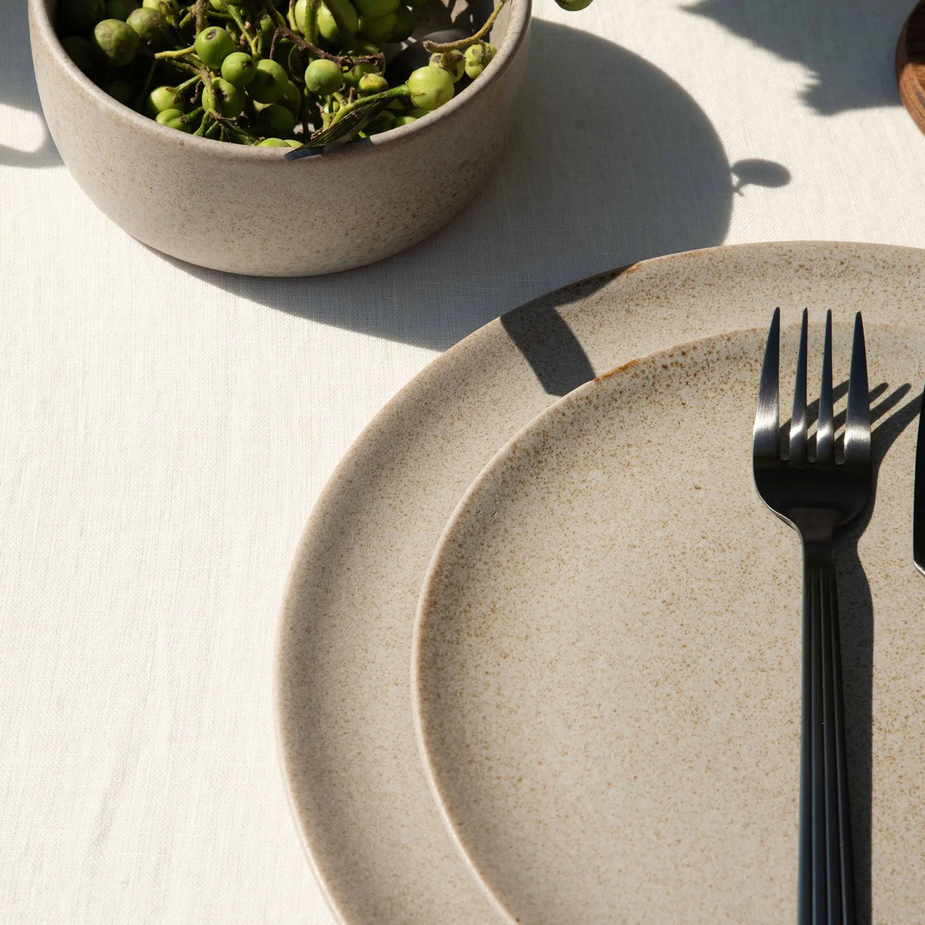 Aida Tilbud|Stel-RAW middagstallerken Ø28 cm sandy beige